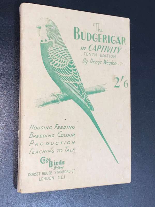 THE BUDGERIGAR IN CAPTIVITY BY DENYS WESTON