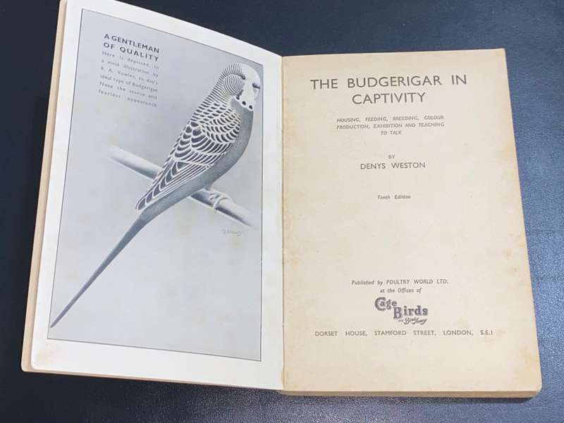 THE BUDGERIGAR IN CAPTIVITY BY DENYS WESTON