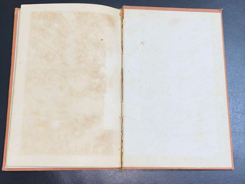 THE SPOILERS BY GEORGE KETT 1901