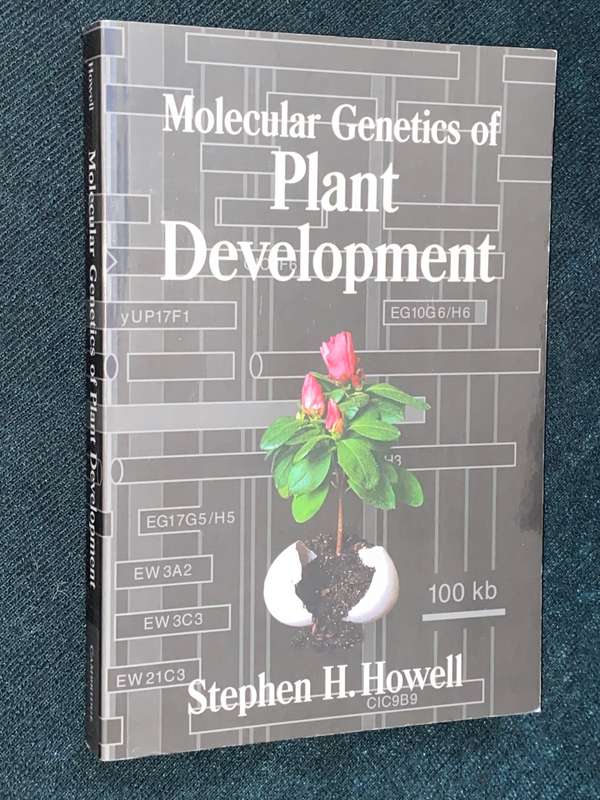MOLECULAR GENETICS OF PLANT DEVELOPMENT BY STEPHEN H. HOWELL