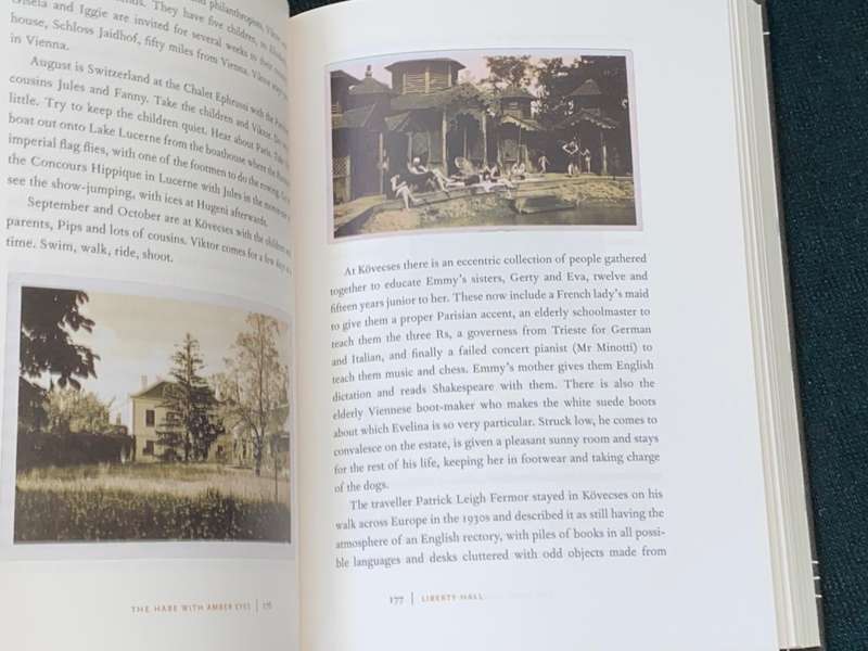 THE HARE WITH AMBER EYES A HIDDEN INHERITANCE THE ILLUSTRATED EDITION BY EDMUND DE WALL