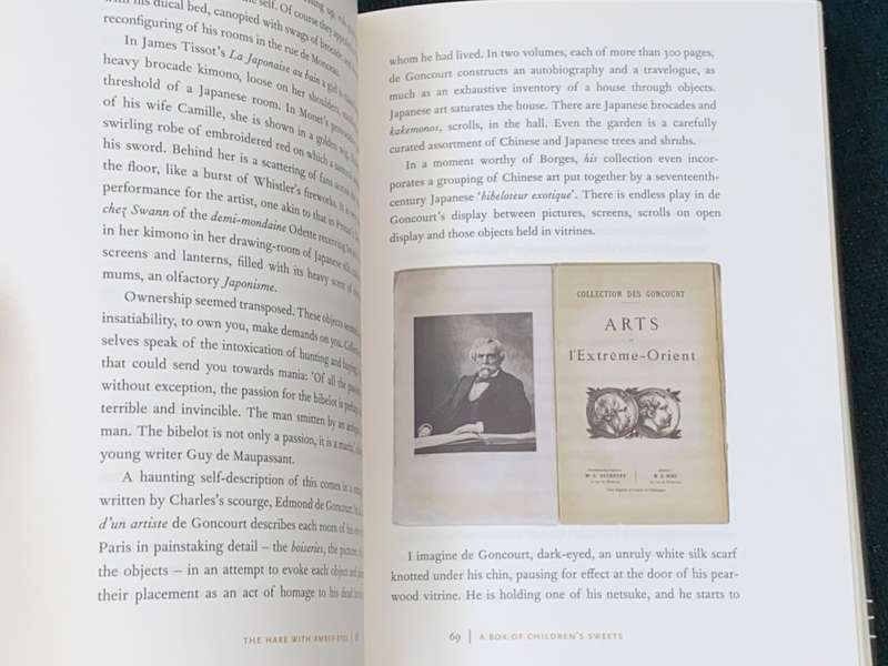 THE HARE WITH AMBER EYES A HIDDEN INHERITANCE THE ILLUSTRATED EDITION BY EDMUND DE WALL