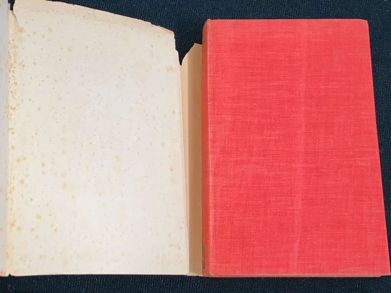 THE REBEL BY ALBERT CAMUS 1953