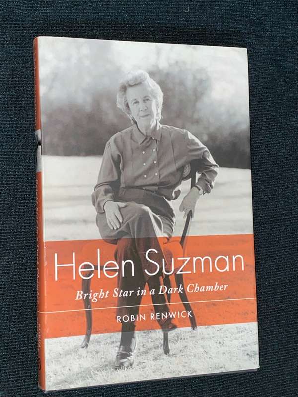 HELEN SUZMAN BRIGHT STAR IN A DARK CHAMBER BY ROBIN RENWICK