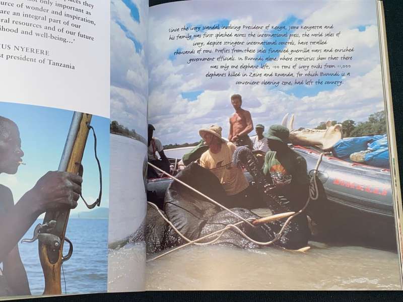 AFRICAN VISIONS THE DIARY OF AN AFRICAN PHOTOGRAPHER MIRELLA RICCIARDI