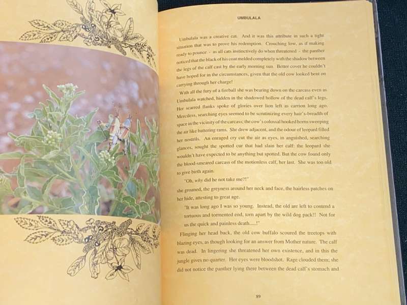UMBULALA THROUGH THE EYES OF A LEOPARD BY LENA GODSALL BOTTRIELL