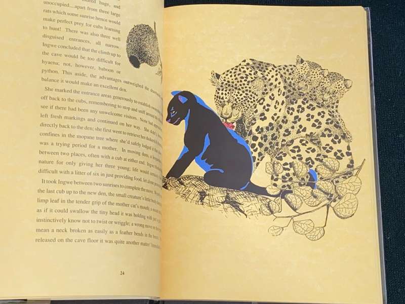 UMBULALA THROUGH THE EYES OF A LEOPARD BY LENA GODSALL BOTTRIELL
