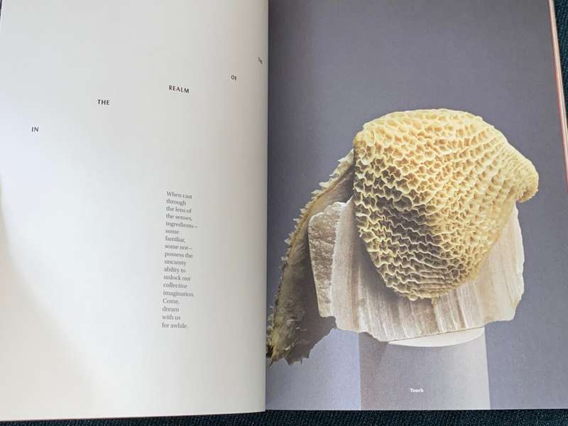 GATHER JOURNAL THE SENSES VOL 7 ISSUE 12 2018