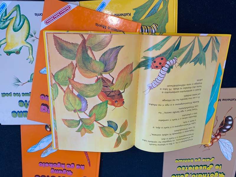 6 X CHILDREN`S TSWANA , SOUTH AND NORTHERN SOTHO BOOKS