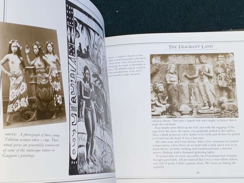 PAUL GAUGUIN THE SEARCH FOR PARADISE LETTERS FROM BRITTANY AND THE SOUTH SEAS