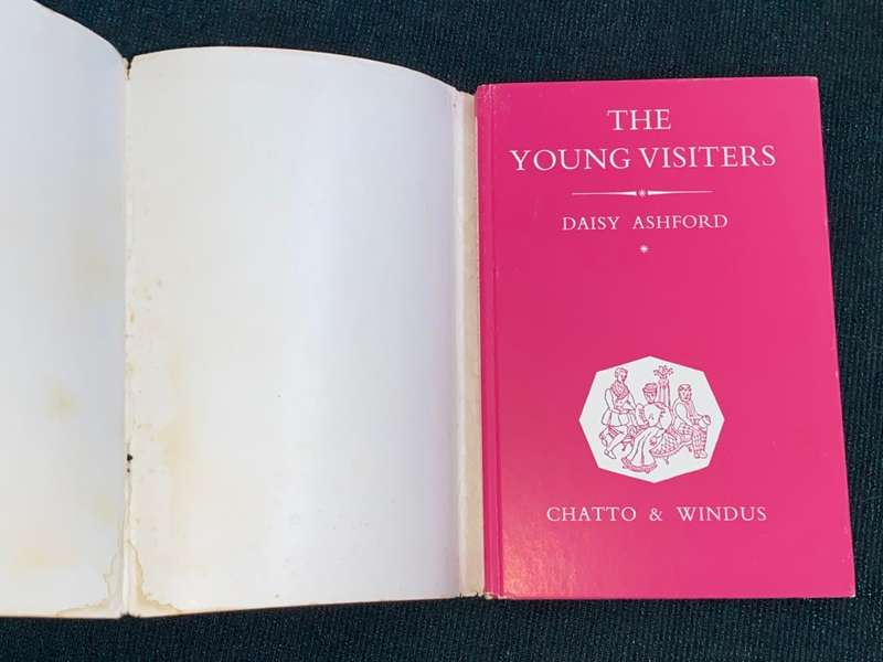 THE YOUNG VISITERS BY DAISY ASHFORD