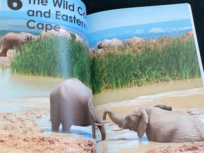 MAKE THE MOST OF YOUR TIME IN SOUTH AFRICA A GUIDE TO PLANNING YOUR PERSONALISED ITINERARY