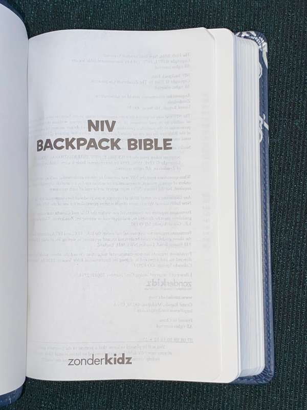 NIV BACKPACK BIBLE