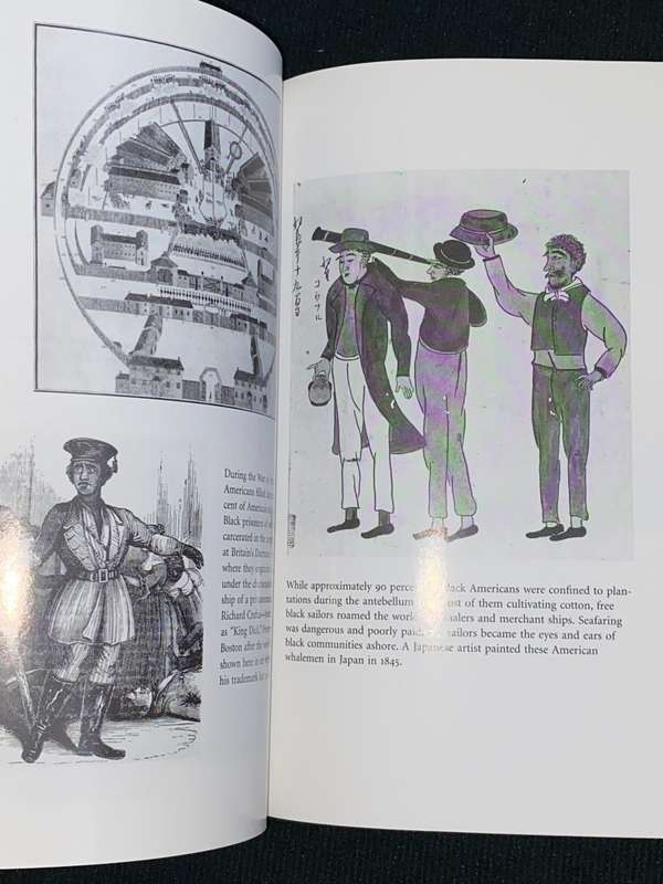 BLACK JACKS AFRICAN AMERICAN SEAMEN IN THE AGE OF SAIL BY W. JEFFREY BOLSTER