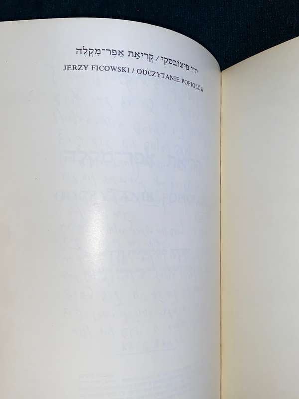 JERZY FICOWSKI ODCZYTANIE POPIOLOW 191/625 LIMITED EDITION