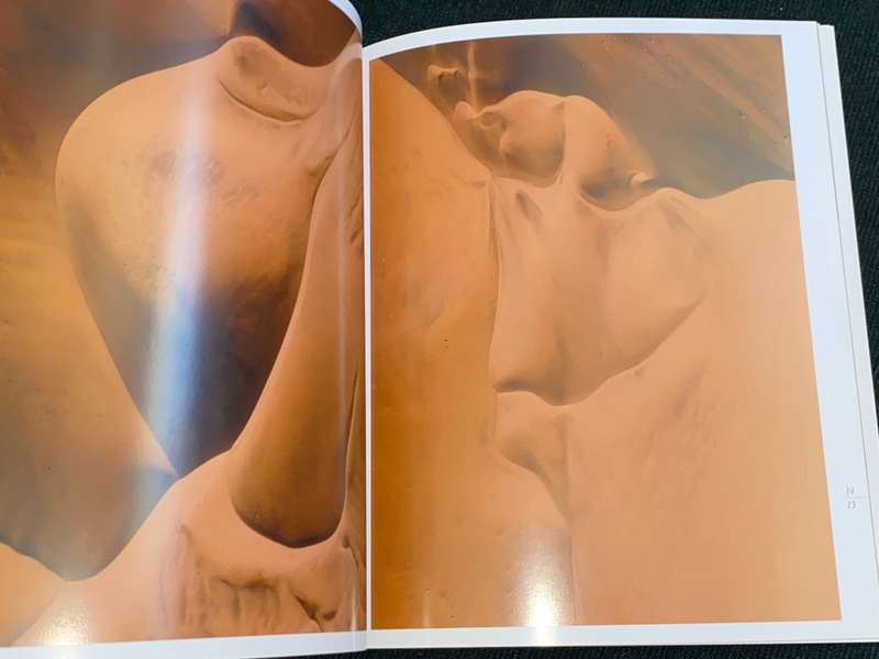 NATURAL ECSTASY BY PHILIPPE MARINIG