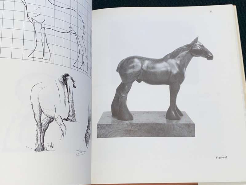 PROJECTS FOR CREATIVE WOODCARVING BY IAN NORBURY SIGNED