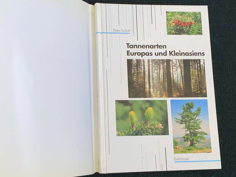 TANNENARTEN EUROPAS UND KLEINASIENS