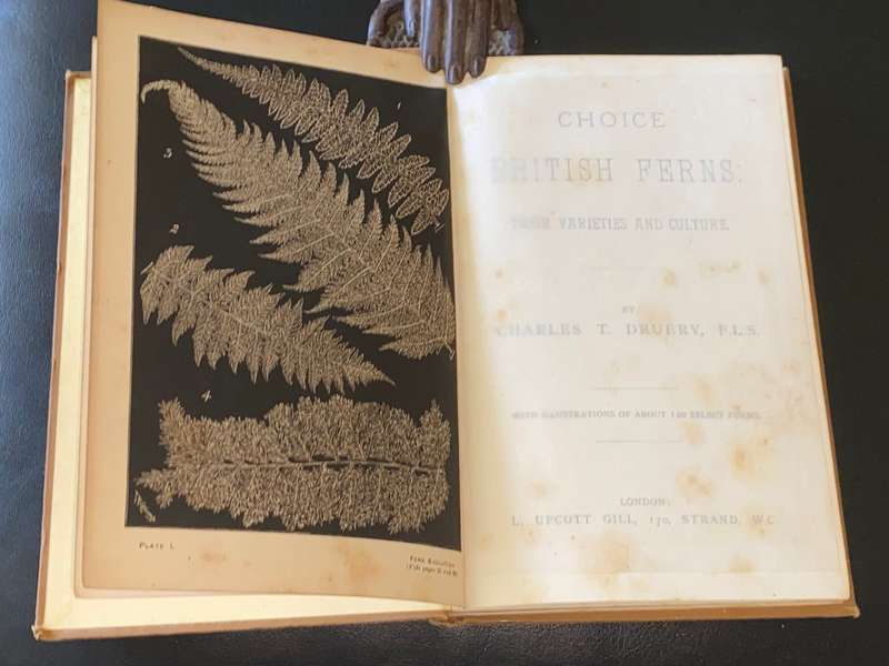 CHOICE BRITISH FERNS THEIR VARIETIES AND CULTURE BY CHARLES T. DRUERY 1890`S