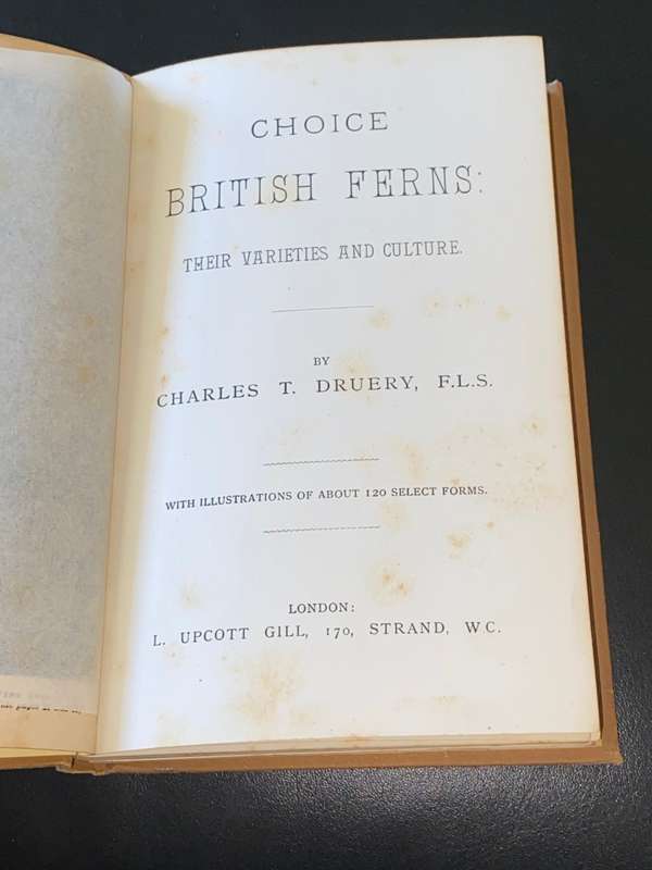 CHOICE BRITISH FERNS THEIR VARIETIES AND CULTURE BY CHARLES T. DRUERY 1890`S