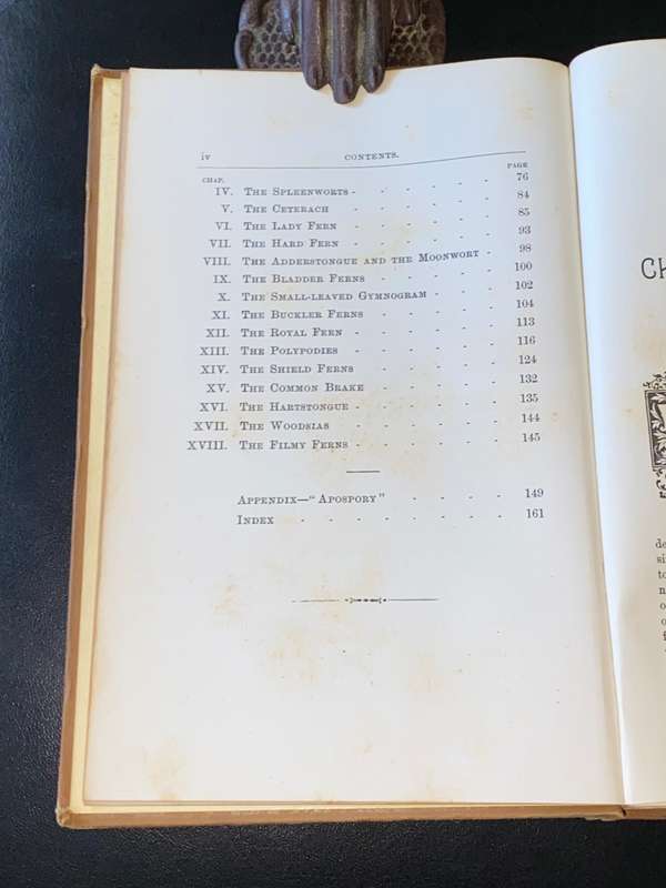 CHOICE BRITISH FERNS THEIR VARIETIES AND CULTURE BY CHARLES T. DRUERY 1890`S