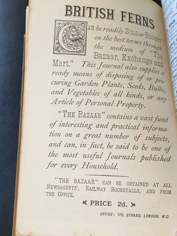 CHOICE BRITISH FERNS THEIR VARIETIES AND CULTURE BY CHARLES T. DRUERY 1890`S
