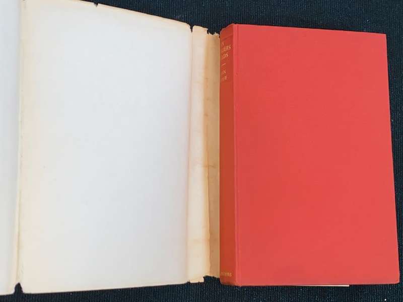 IN FLANDERS FIELDS BY LEON WOLFF