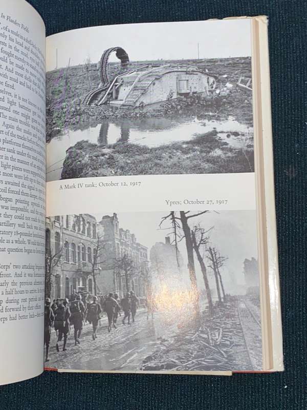 IN FLANDERS FIELDS BY LEON WOLFF