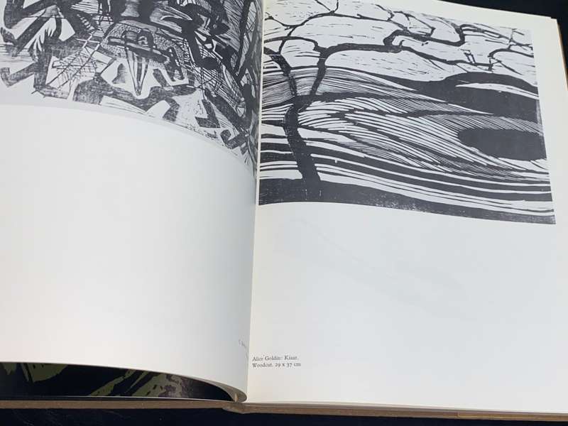 SOUTH AFRICAN GRAPHIC ART AND ITS TECHNIQUES BY FL ALEXANDER
