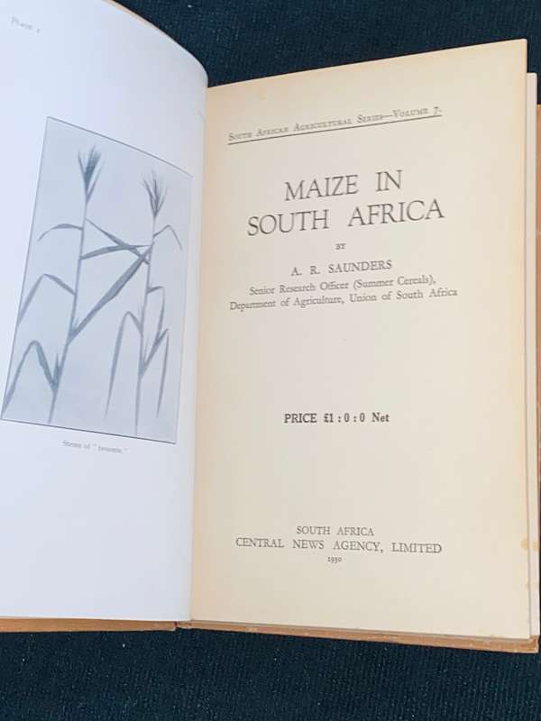 MAIZE IN SOUTH AFRICA BY A.R. SAUNDERS 1930 S.A. AGRICULTURAL SERIES