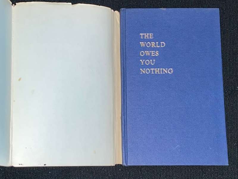 THE WORLD OWES YOU NOTHING BY PETER WEIDNER