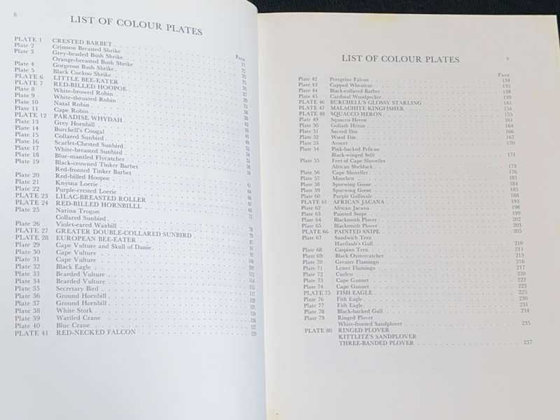 CALBURN`S BIRDS OF SOUTHERN AFRICA