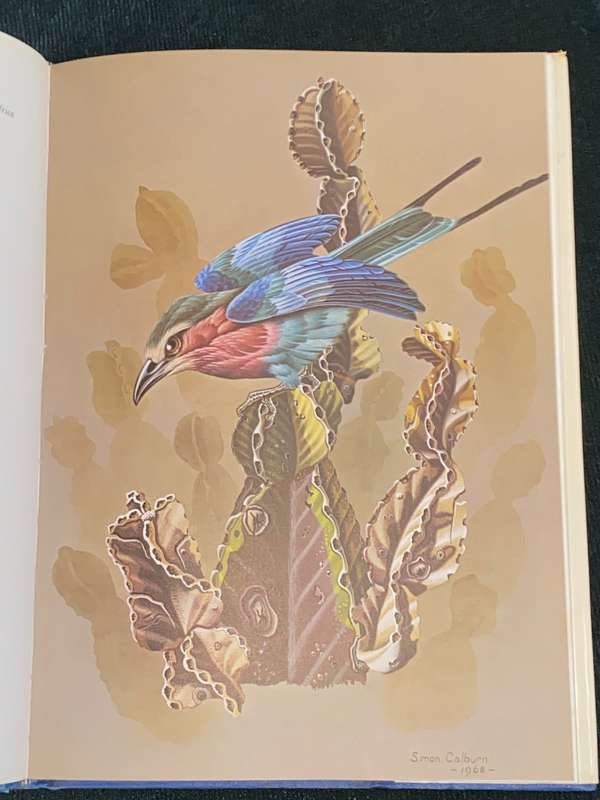 CALBURN`S BIRDS OF SOUTHERN AFRICA