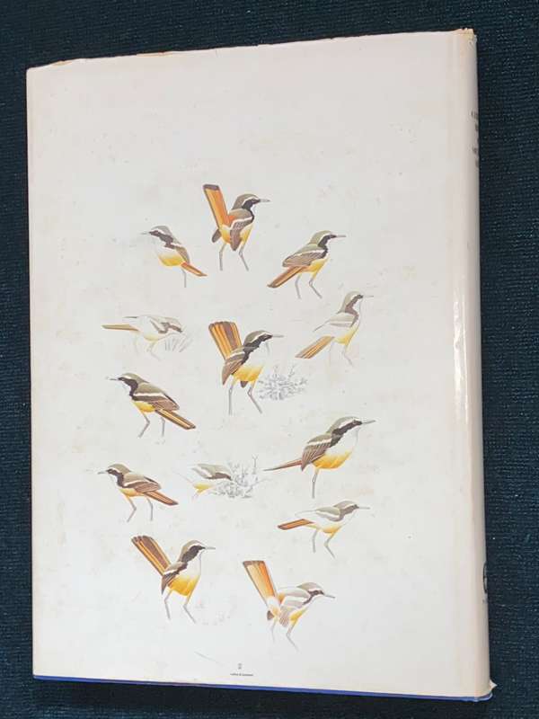 CALBURN`S BIRDS OF SOUTHERN AFRICA