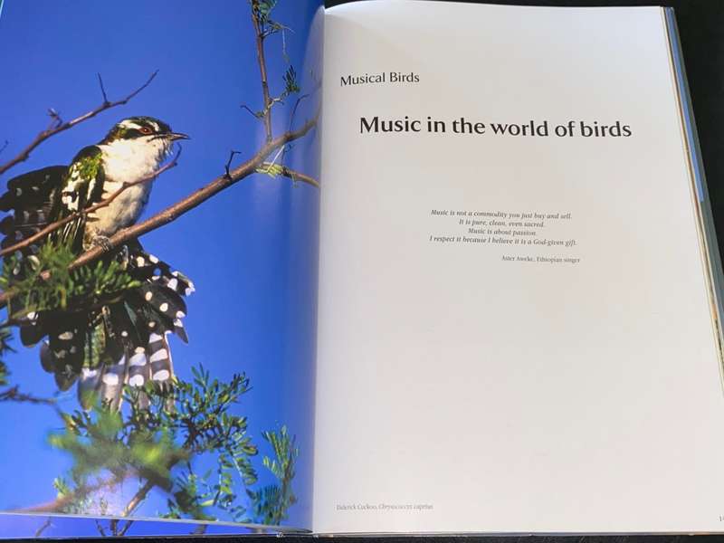 BIRDS OF NAMIBIA A PHOTOGRAPHIC JOURNEY BY POMPIE BURGER