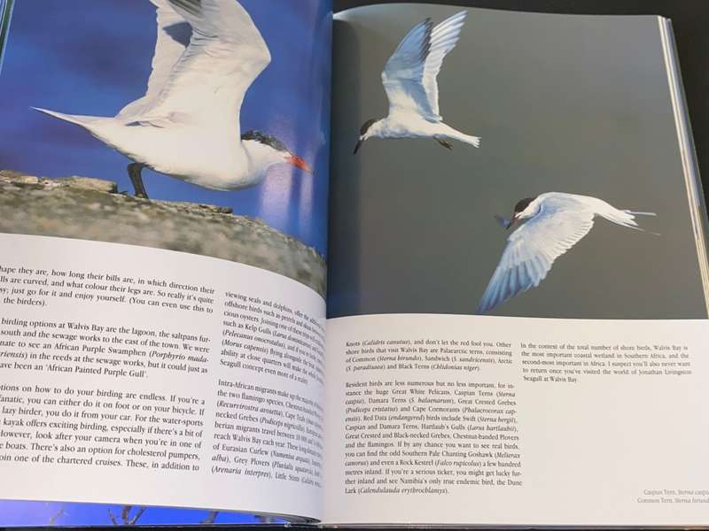 BIRDS OF NAMIBIA A PHOTOGRAPHIC JOURNEY BY POMPIE BURGER