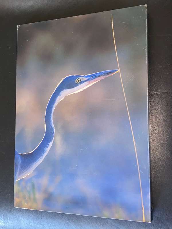 BIRDS OF NAMIBIA A PHOTOGRAPHIC JOURNEY BY POMPIE BURGER