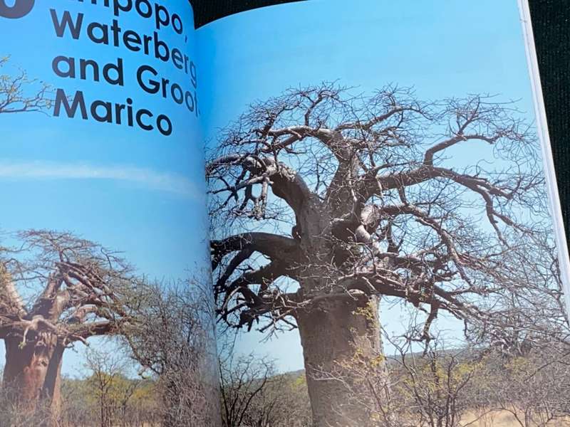 MAKE THE MOST OF YOUR TIME IN SOUTH AFRICA A GUIDE TO PLANNING YOUR PERSONALISED ITINERARY