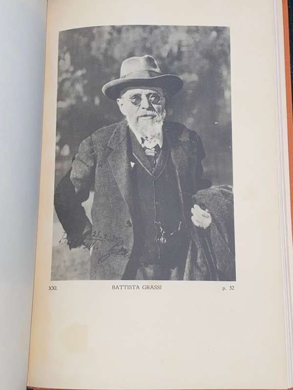 MALARIA ET CHININUM 1927