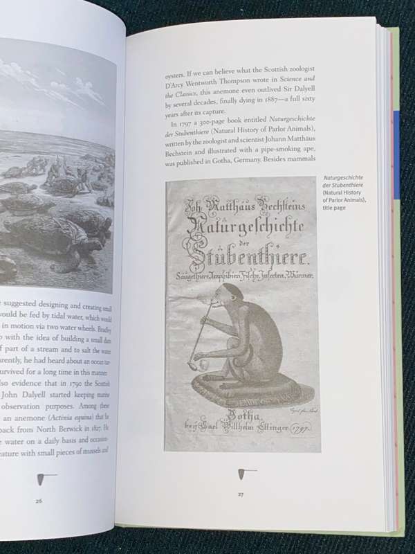 THE OCEAN AT HOME AN ILLUSTRATED HISTORY OF THE AQUARIUM BY BERND BRUNNER