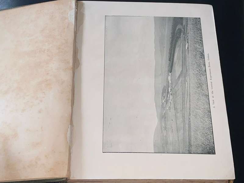 CEDARA MEMOIRS ON SOUTH AFRICAN AGRICULTURE BY E.R. SAWER  VOLUMES 2 & 3 1911, 1912