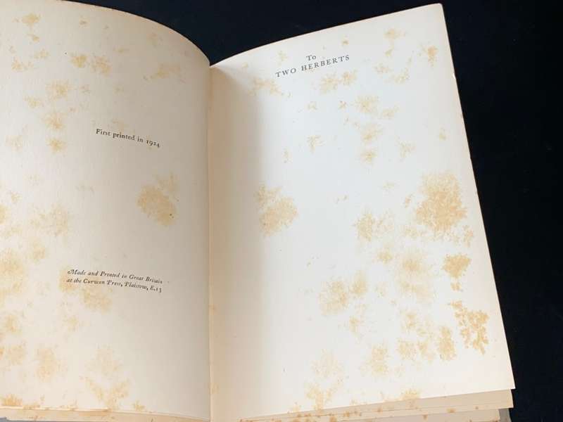 DING DONG BELL BY WALTER DE LA MARE 1924 1ST EDITION