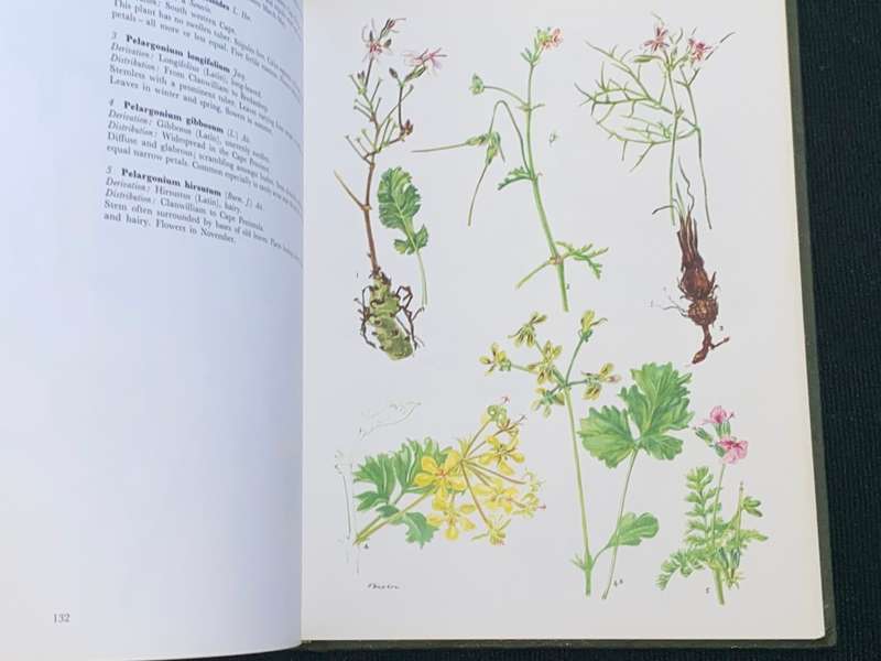 WESTERN CAPE SANDVELD FLOWERS SUBSCRIBERS EDITION 1972