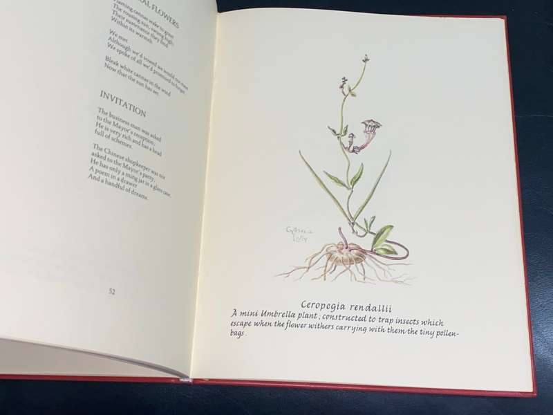 CHILDREN OF THE HOURS BY CYNTHIA LETTY SIGNED LIMITED EDITION IN FULL LEATHER 18/100