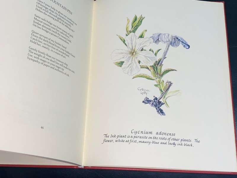 CHILDREN OF THE HOURS BY CYNTHIA LETTY SIGNED LIMITED EDITION IN FULL LEATHER 18/100
