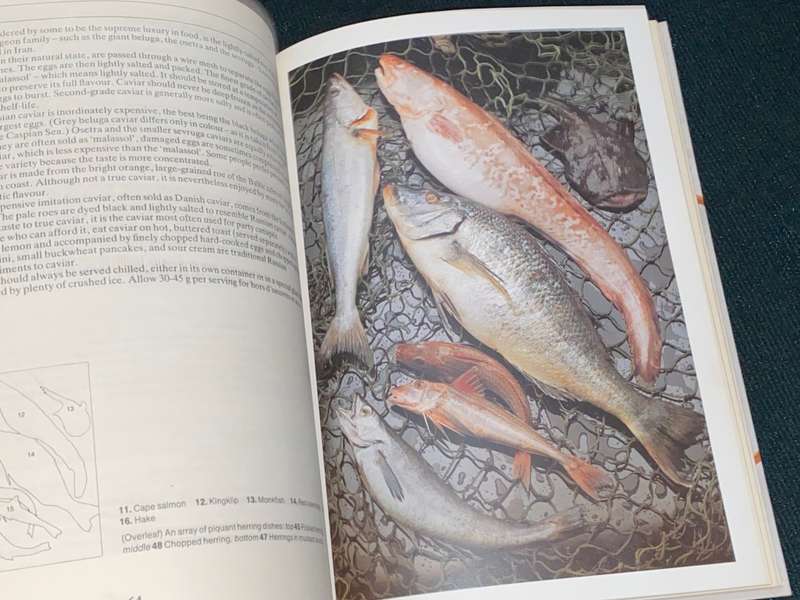 THE COMPLETE SOUTH AFRICAN FISH & SEAFOOD COOKBOOK BY ALICIA WILKINSON