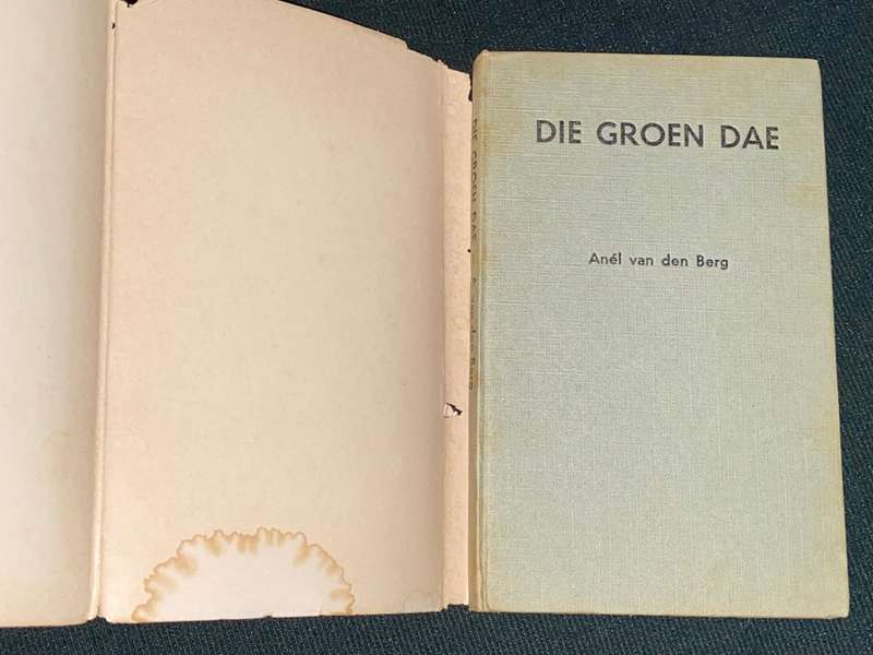 DIE GROEN DAE DEUR ANEL VAN DEN BERG
