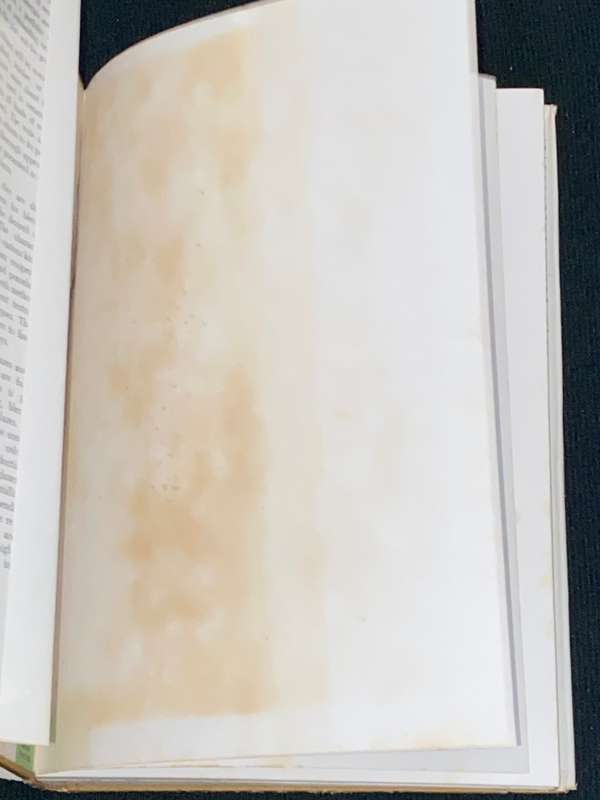 CLAY AND GLAZES FOR THE POTTER BY DANIEL RHODES REVISED EDITION