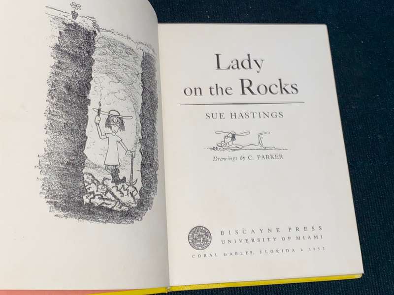 LADY ON THE ROCKS BY SUE HASTINGS SIGNED