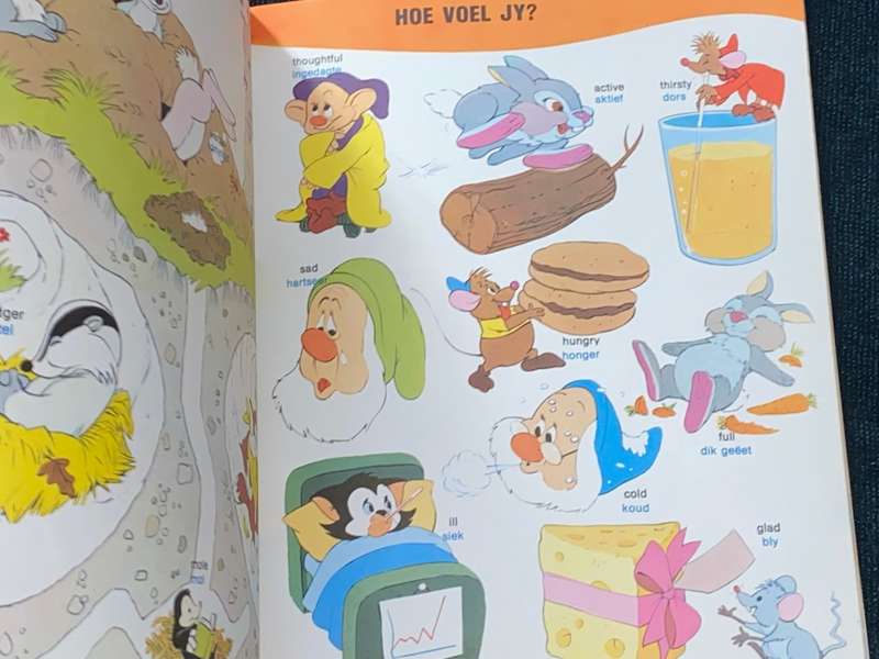WALT DISNEY ENGELSE WOORDEBOEK VIR KLEUTERS 1976